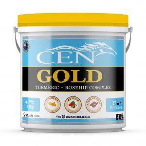 CEN Gold-Southern Sport Horses-The Equestrian
