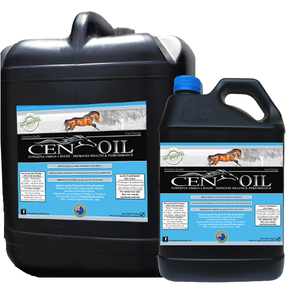 CEN Oil-Southern Sport Horses-The Equestrian