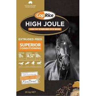 CopRice High Joule-Southern Sport Horses-The Equestrian