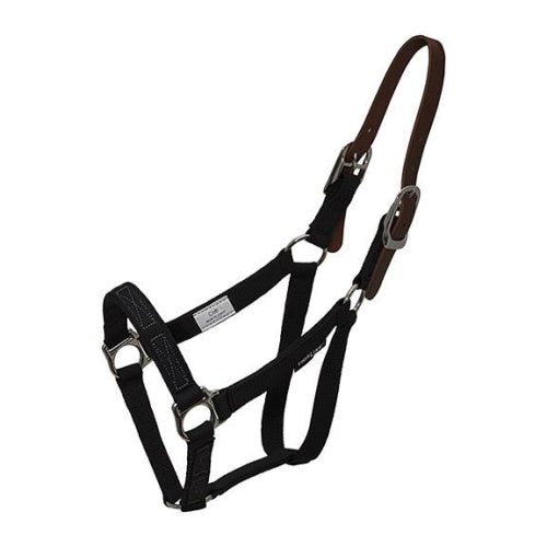Black breakaway halter with leather straps on white background.