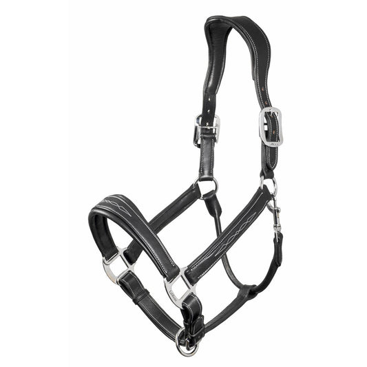 Leather Stitch Headcollar by LeMieux-Southern Sport Horses-The Equestrian