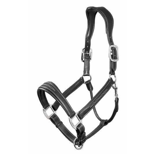 Leather Stitch Headcollar by LeMieux-Southern Sport Horses-The Equestrian