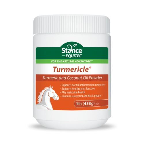 Shop Premium Equine Supplement with Turmeric and Curcumin - Turmericle by Equitec-Southern Sport Horses-The Equestrian