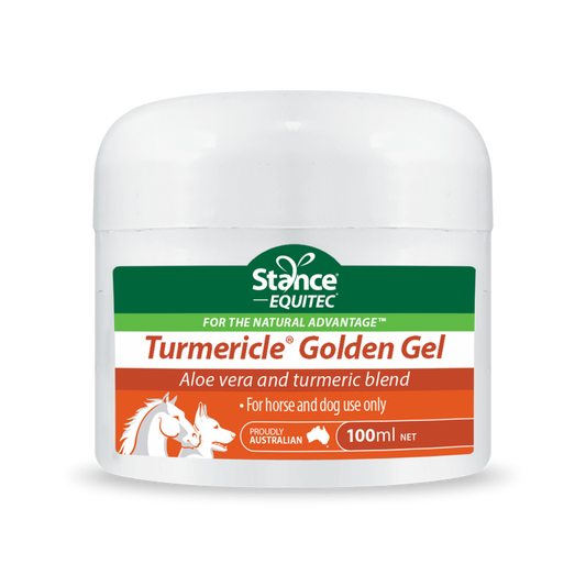 Shop Golden Gel Equitec Turmericle - A Premium Equine Supplement for Optimal Health and Performance-Southern Sport Horses-The Equestrian