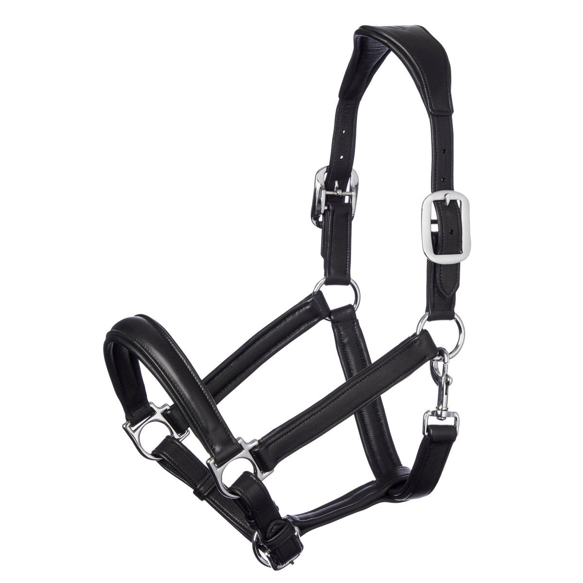 LeMieux Leather Anatomic Headcollar - High-Quality Equestrian Gear-Southern Sport Horses-The Equestrian