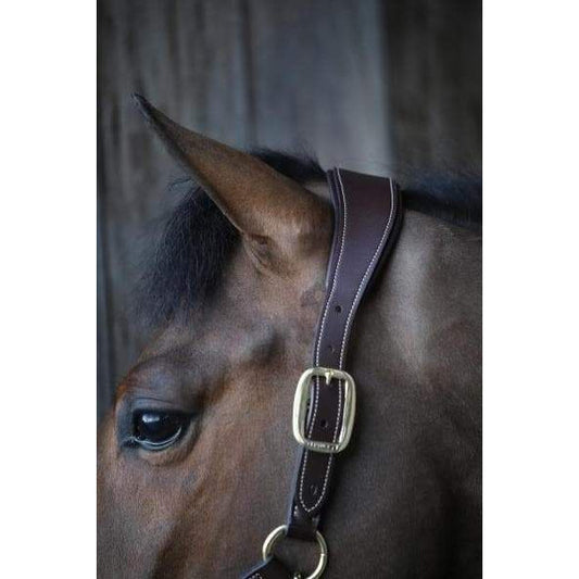 Kentucky Leather Anatomic Halter-Dapple EQ-The Equestrian