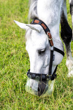 Grey horse wearing Thinline grazing muzzle in grass field.