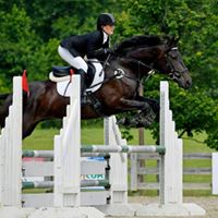 Equestrian jumping hurdle on Thinline horse. Beautiful outdoor setting.