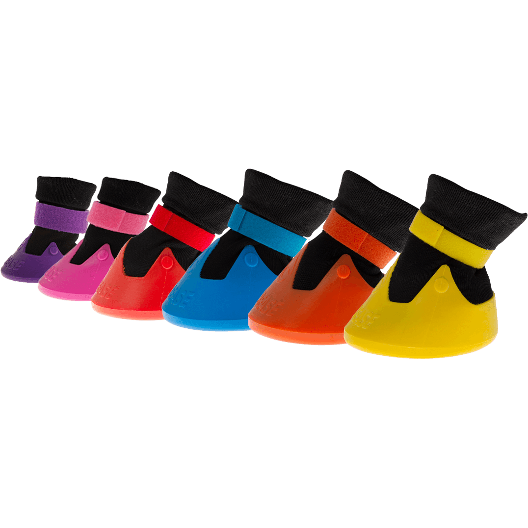 A row of five colorful bell boots for horses, with Velcro straps, arranged from purple to yellow, against a black background.