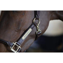 Kentucky Leather Anatomic Halter-Dapple EQ-The Equestrian