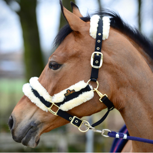 Kentucky Horsewear Halter - Sheepskin-Trailrace Equestrian Outfitters-The Equestrian