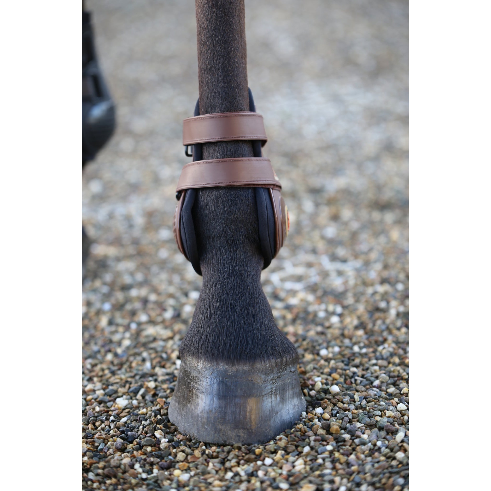 Shop Kentucky Horsewear Moonboots Max - Premium Quality Equestrian Footwear-Trailrace Equestrian Outfitters-The Equestrian