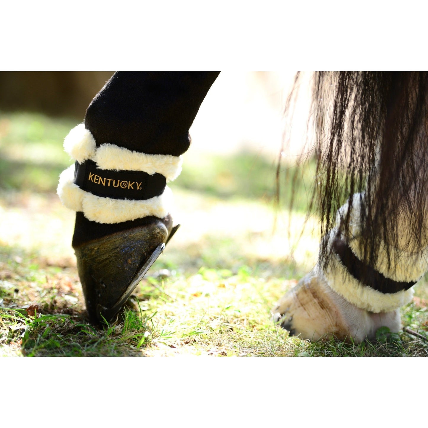 Kentucky Sheepskin Pastern Wrap-Trailrace Equestrian Outfitters-The Equestrian