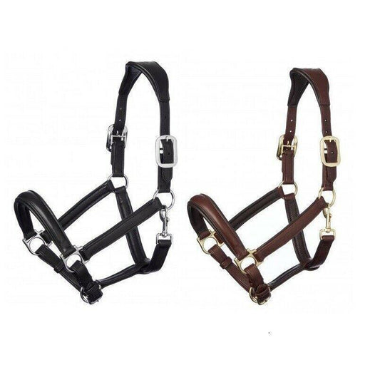 LeMieux Leather Anatomic Headcollar - High-Quality Equestrian Gear-Southern Sport Horses-The Equestrian