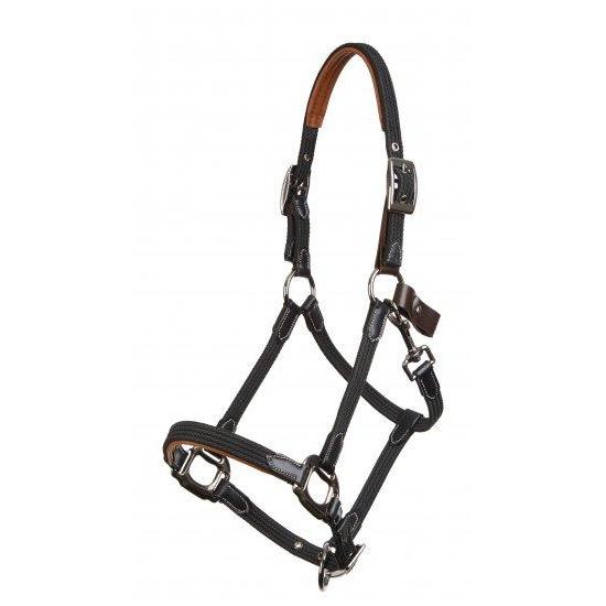 Black and brown breakaway halter with silver buckles on white background.