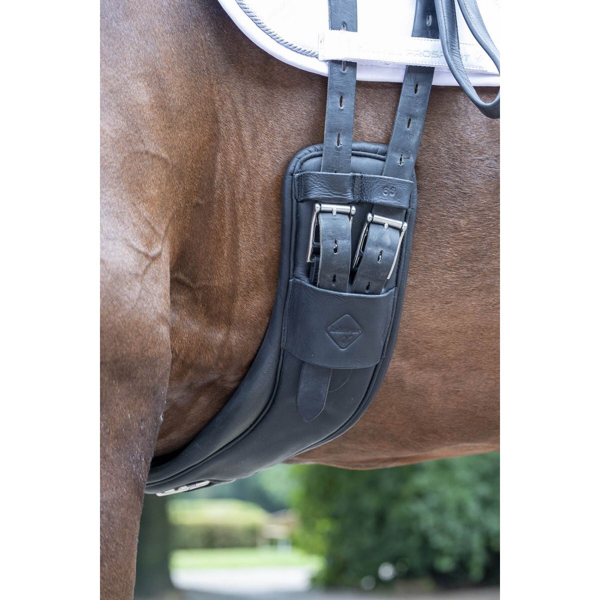 Black LeMieux Gel-Tek Anatomic Curve Dressage Girth-Southern Sport Horses-The Equestrian