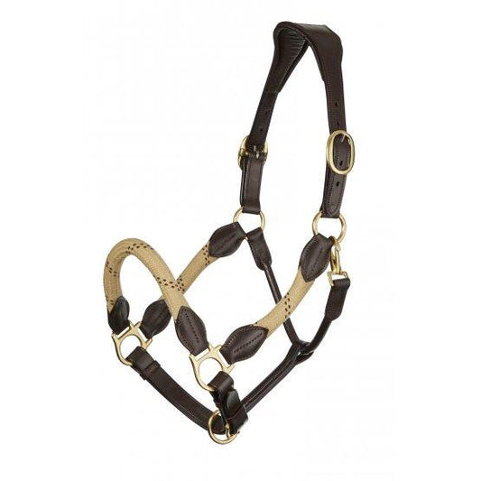 LeMieux Lasso Headcollar-LeMieux-Southern Sport Horses