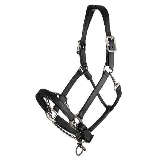 LeMieux Leather Control Headcollar-Southern Sport Horses-The Equestrian