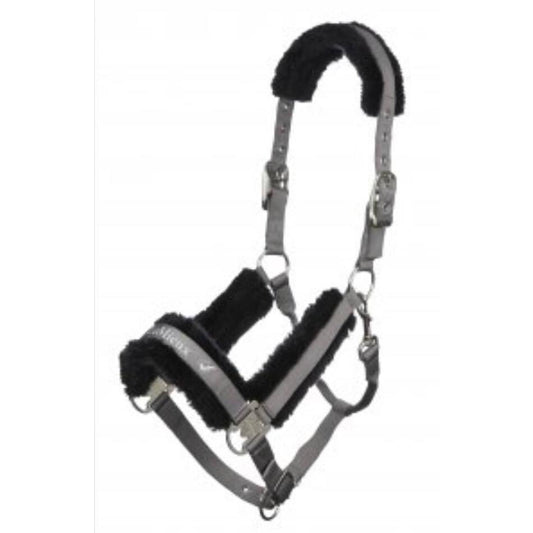 LeMieux Loire Headcollar *Discontinued*-Southern Sport Horses-The Equestrian