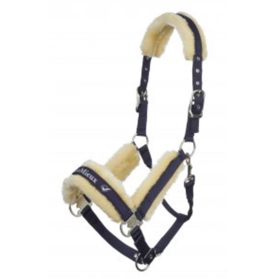 LeMieux Loire Headcollar *Discontinued*-Southern Sport Horses-The Equestrian