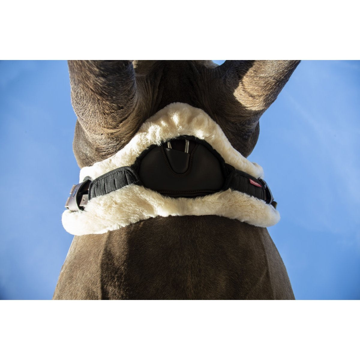 LeMieux Merino+ Curve Stud Guard Cover  -Southern Sport Horses-The Equestrian