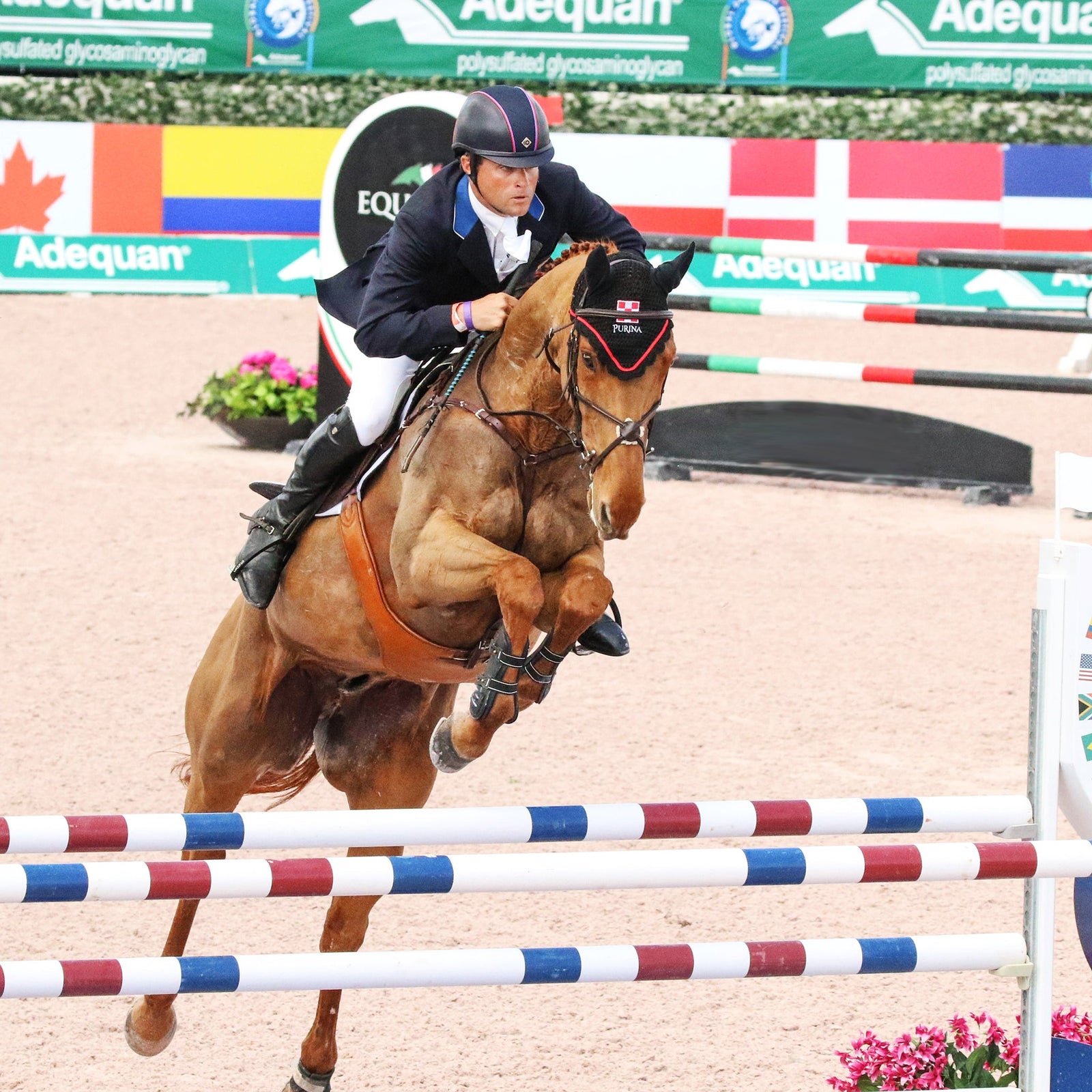 Majyk Equipe Boyd Martin Hyperflex Snap Close Hind Jump Boots Black-Top Brands-The Equestrian
