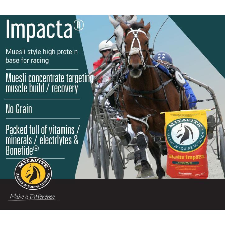 Mitavite Impacta 20kg-Southern Sport Horses-The Equestrian