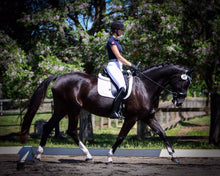 Rider on Thinline horse performing in an outdoor dressage competition.