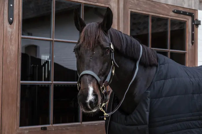 Kentucky Plaited Nylon Lead Rope