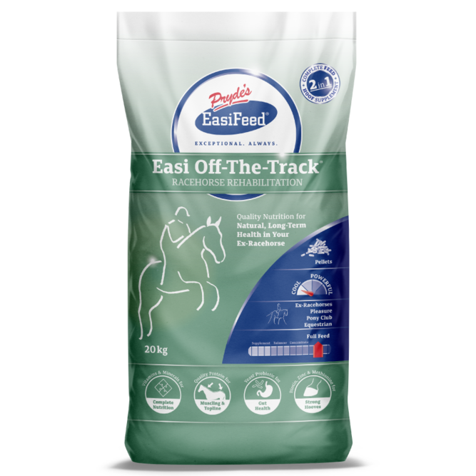 Prydes Easi Off-The-Track-Southern Sport Horses-The Equestrian