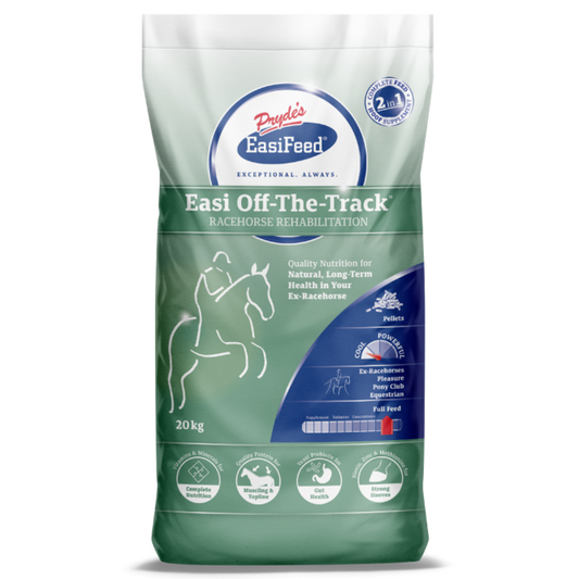 Prydes Easi Off-The-Track-Southern Sport Horses-The Equestrian