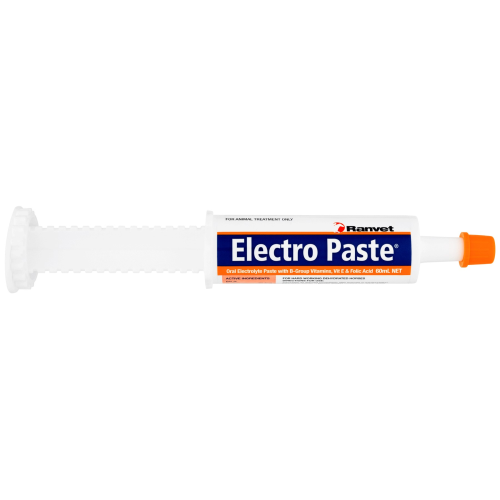 White syringe of Electro Paste electrolytes with orange cap.