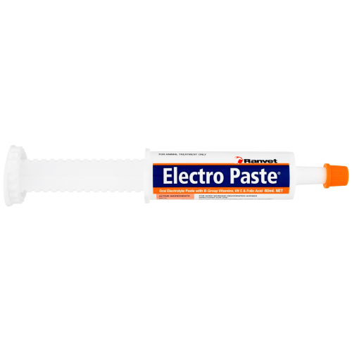 Ranvet Electro Paste-Trailrace Equestrian Outfitters-The Equestrian