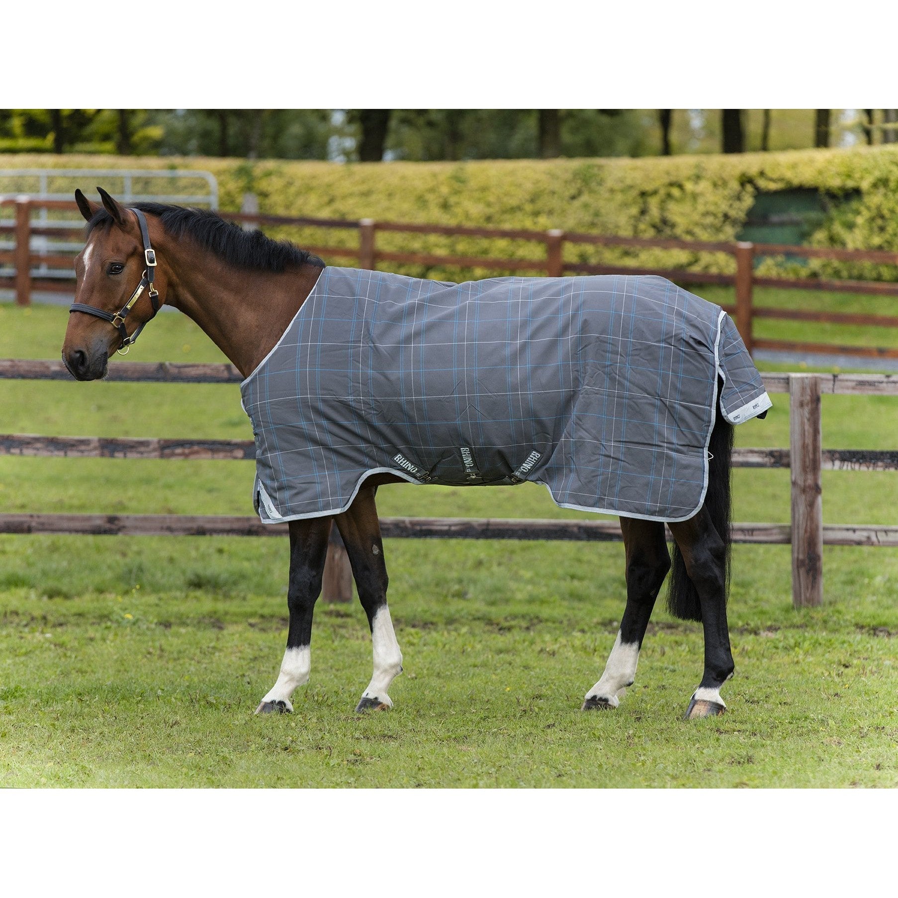 Lightweight Rhino Plus Turnout Rug-Little Equine Co-The Equestrian