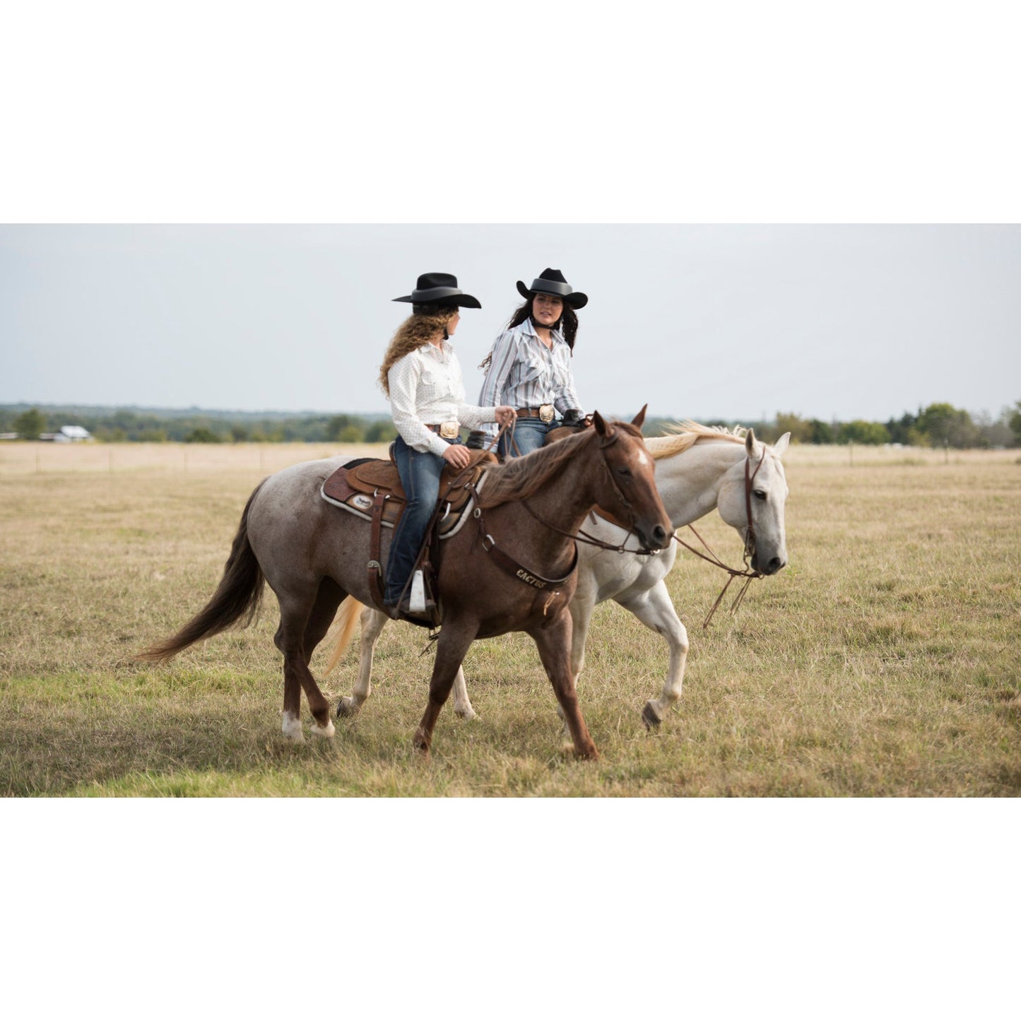 Resistol Ride Safe Helmet Black-Top Brands-The Equestrian