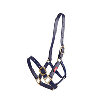 Zilco 25mm PN Halter-Trailrace Equestrian Outfitters-The Equestrian
