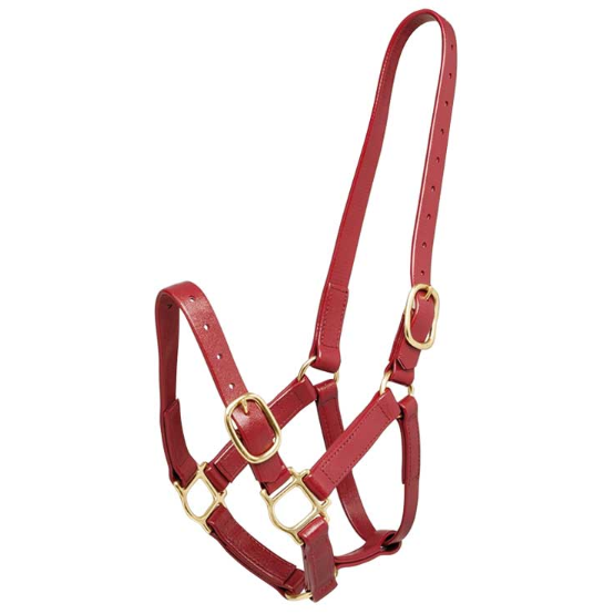 Zilco 25mm PN Halter-Trailrace Equestrian Outfitters-The Equestrian