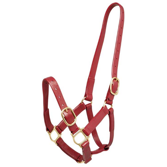 Zilco 25mm PN Halter-Trailrace Equestrian Outfitters-The Equestrian