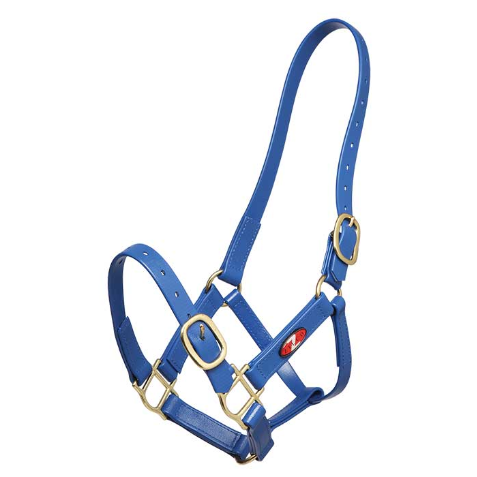 Zilco 25mm PN Halter-Trailrace Equestrian Outfitters-The Equestrian