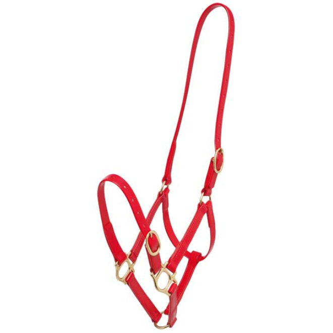 Zilco 3/4" PN Halter-Trailrace Equestrian Outfitters-The Equestrian