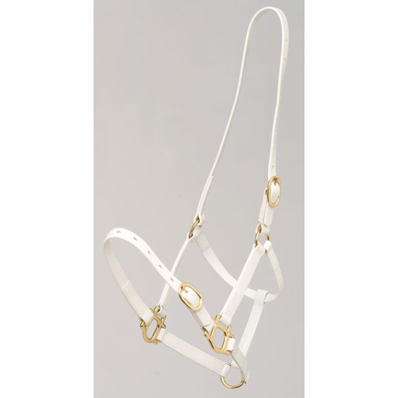Zilco 3/4" PN Halter-Trailrace Equestrian Outfitters-The Equestrian