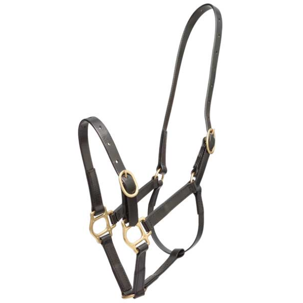 Zilco 3/4" PN Halter-Trailrace Equestrian Outfitters-The Equestrian