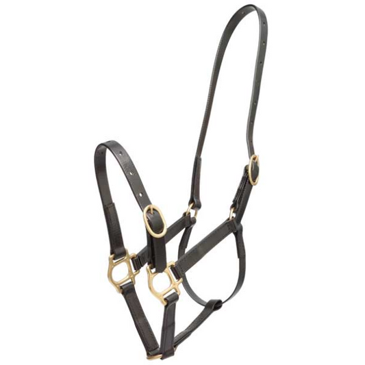 Zilco 3/4" PN Halter-Trailrace Equestrian Outfitters-The Equestrian