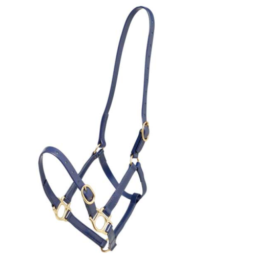 Zilco 3/4" PN Halter-Trailrace Equestrian Outfitters-The Equestrian